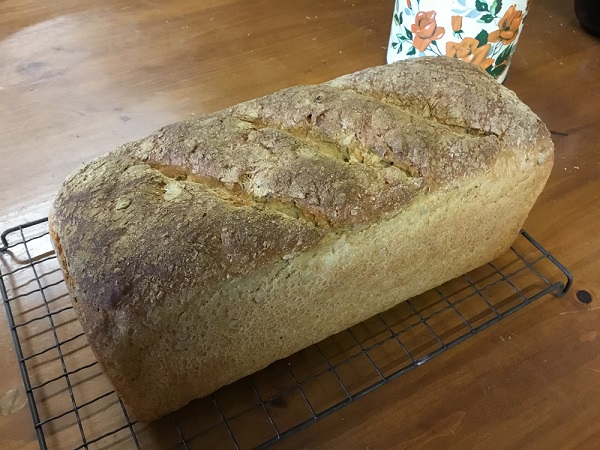 Sourdough Discard Bread - The Healthy Shift